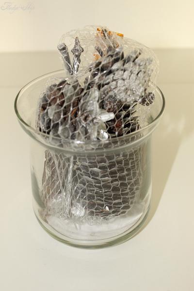 Tannenzapfen Holz Mix silber mit Glas-Vase